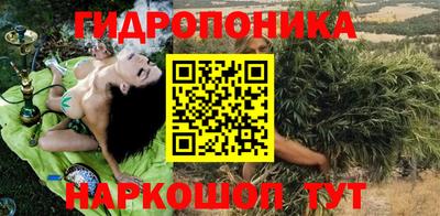Альфа ПВП Котовск