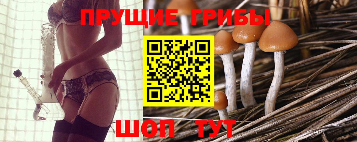 Галлюциногенные грибы GOLDEN TEACHER  Вход с VPN  Майкоп  Псилоцибиновые грибы мухоморы 